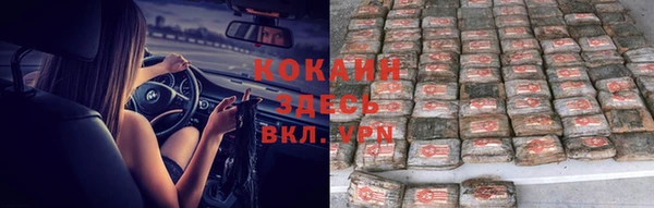 ALPHA-PVP Гусев