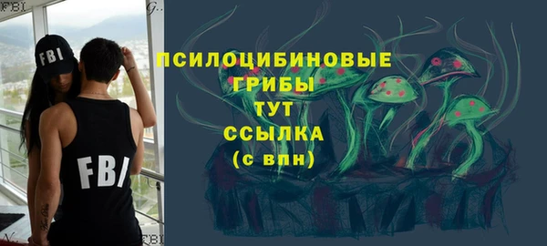 mix Гусиноозёрск