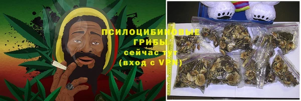ALPHA-PVP Гусев
