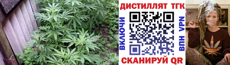 где продают наркотики  Истра  ТГК вейп с тгк 