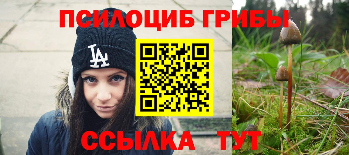 Псилоцибиновые грибы прущие грибы  купить   Истра  Вход с VPN 
