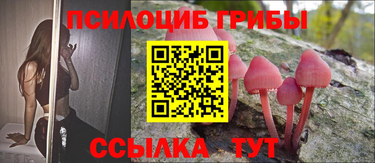 Как найти закладки?  Истра  НБОМе  Конопля  Вход с VPN  КОКАИН  Меф МЯУ МЯУ кристаллы  Марихуана  ГАШ 